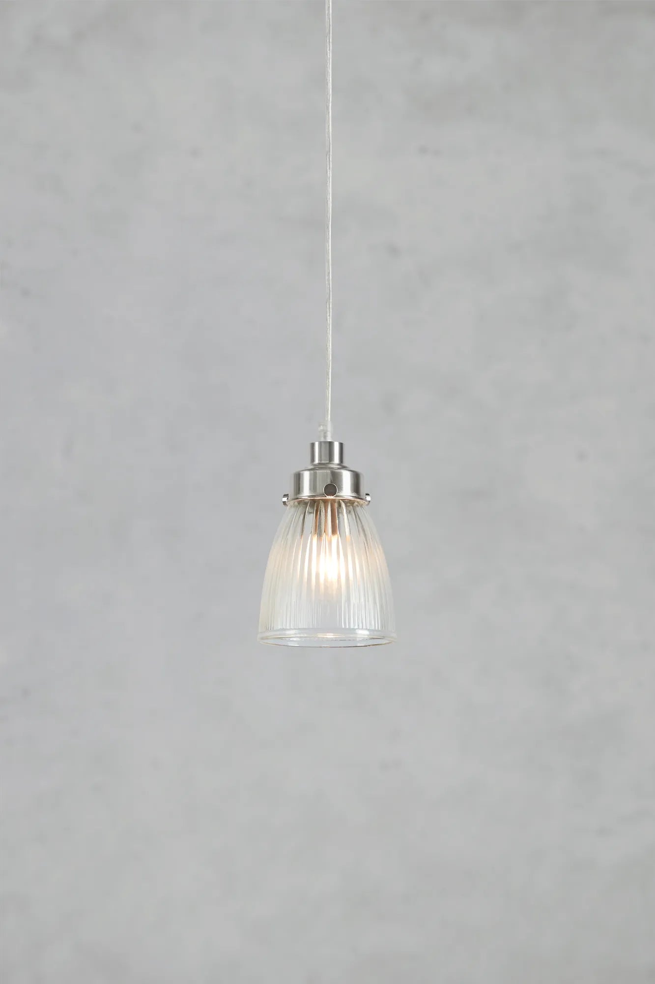 109009_bellis_150