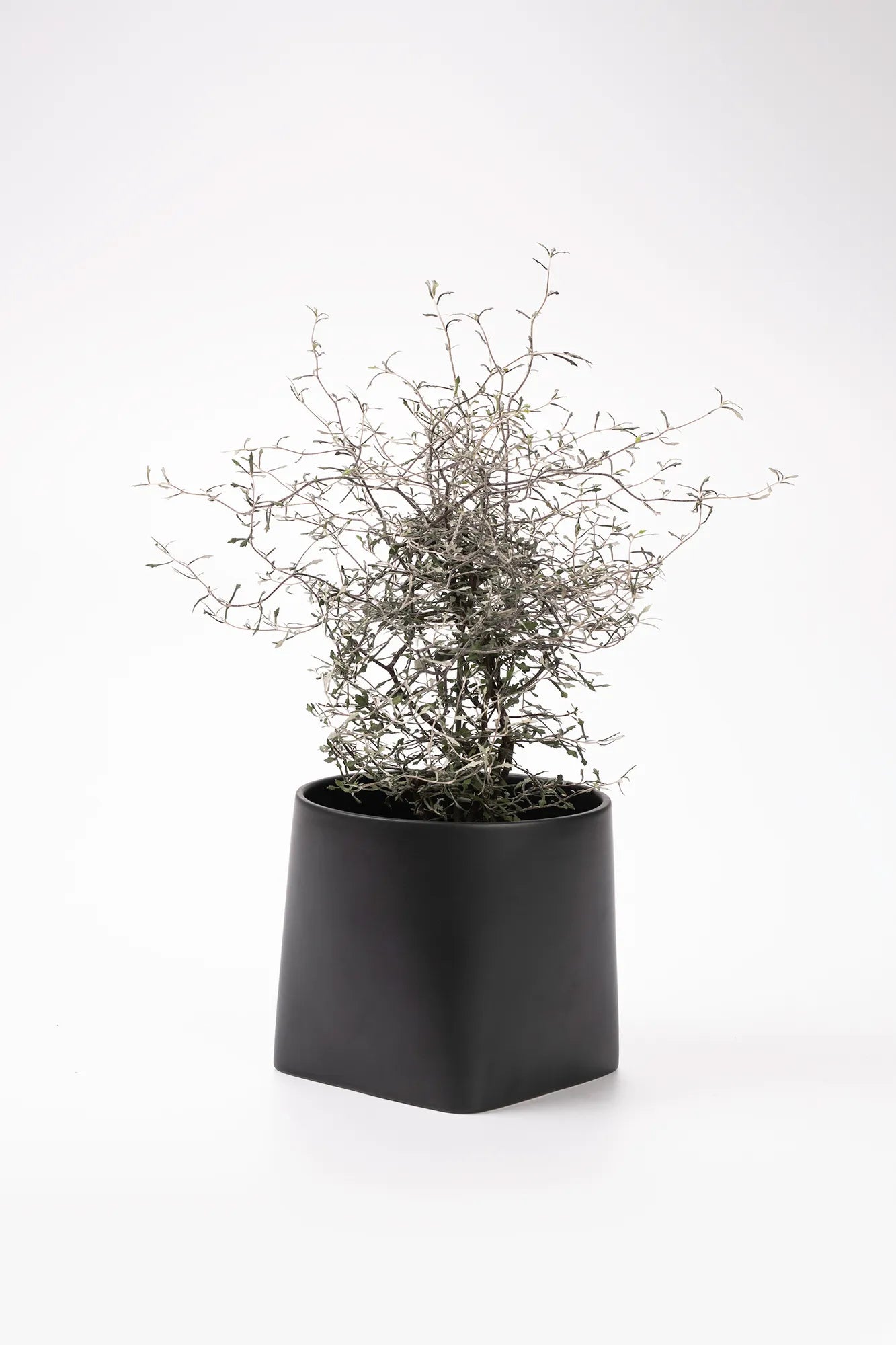 Somma svart kruka 14 cm | Somma black pot | Somma schwarz Blumentopf