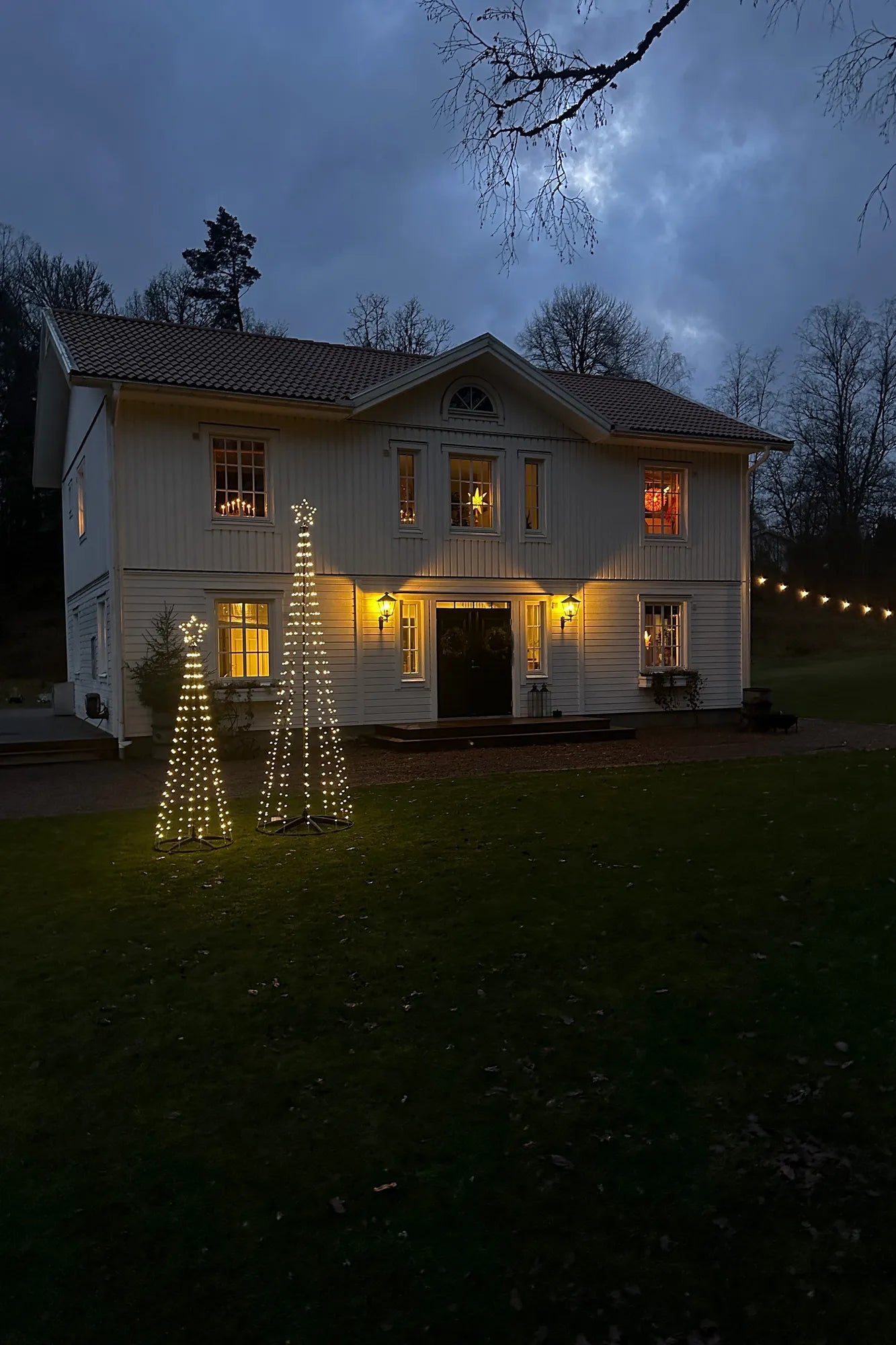 Abeto Light tree 2 m