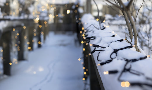 Chrissline - Create a magical garden