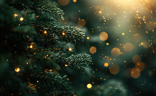 Pisello eller Push-in lampor - Tips