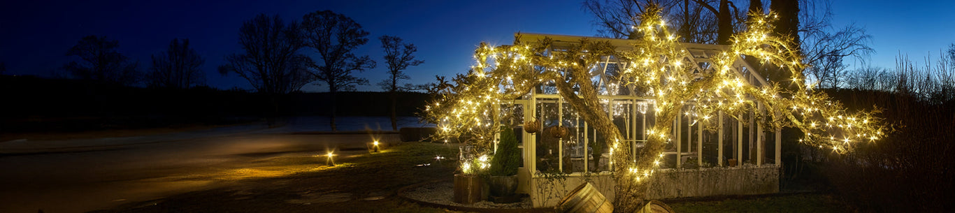 Christmas String Lights & Outdoor Decorations