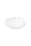 108501_camellia_001