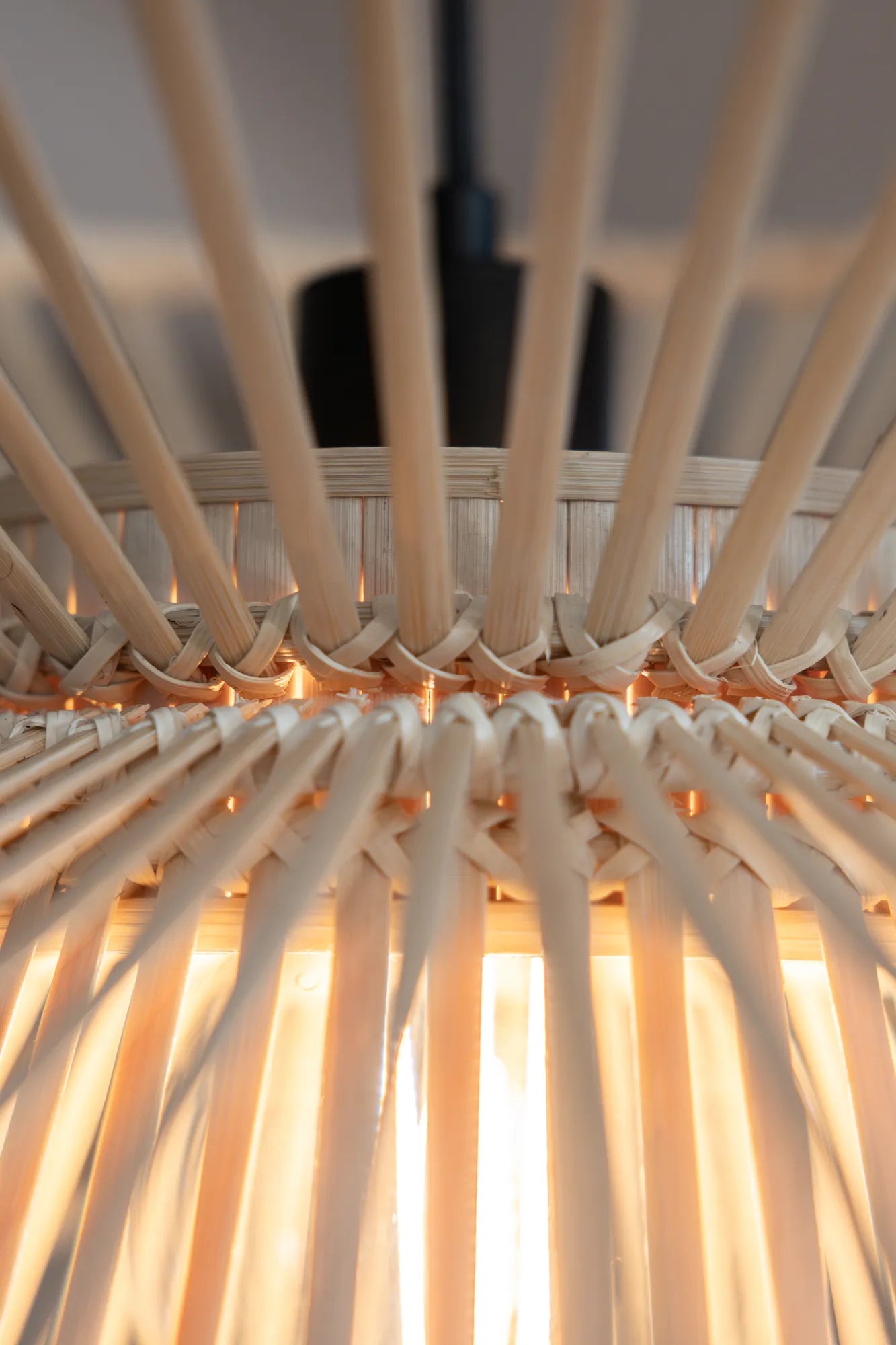 Duplici natur taklampa stilren belysning | Duplici nature pendant | Duplici Natur Pendelleuchte minimalistische Beleuchtung