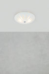 Petal plafond stilren belysning | Petal flush mount ceiling light | Petal Deckenleuchte minimalistische Beleuchtung