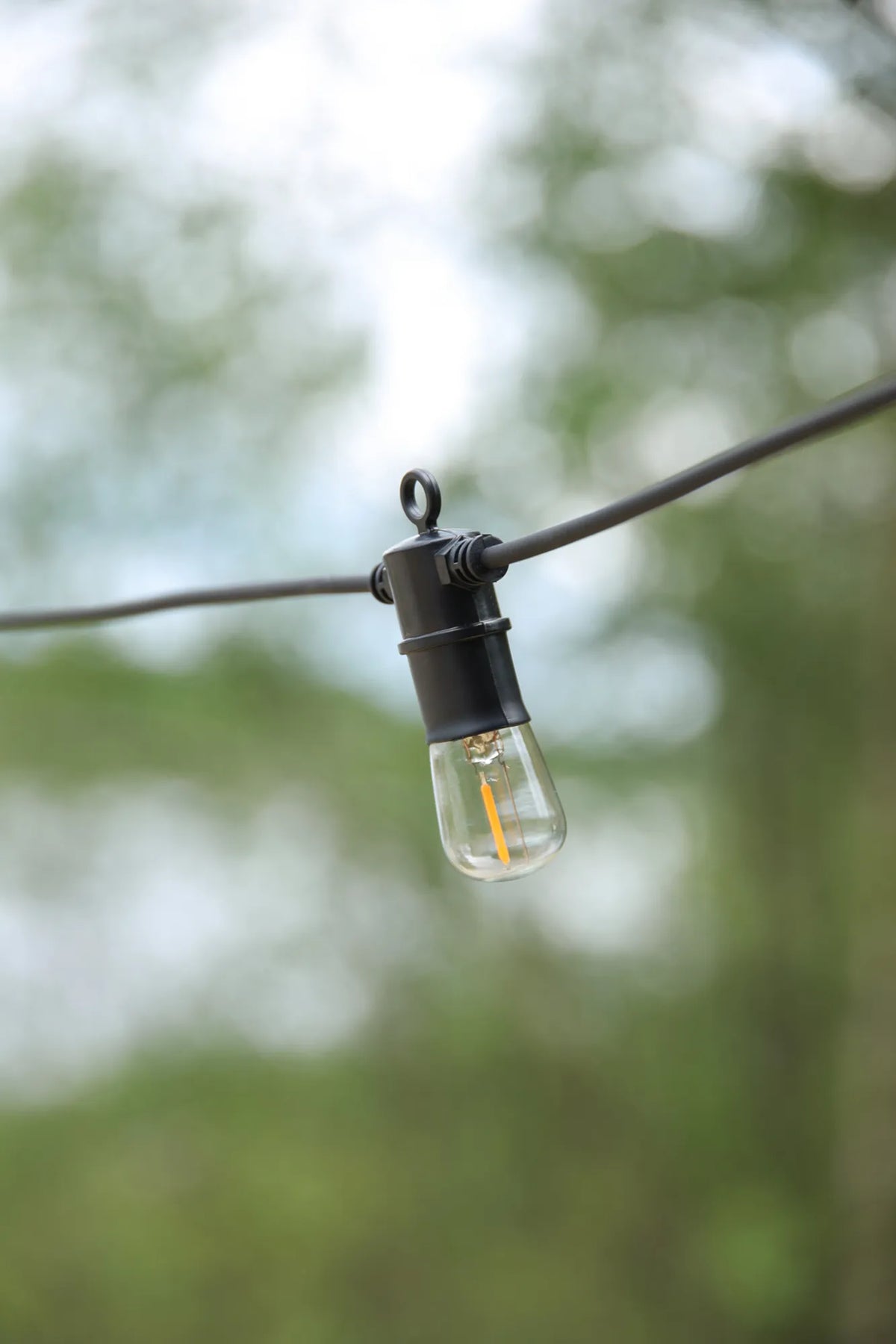 Vibe Party String Light Starter Set