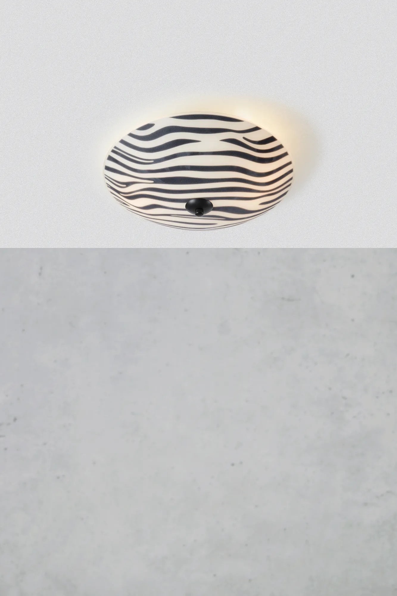 Safari Plafond Zebra