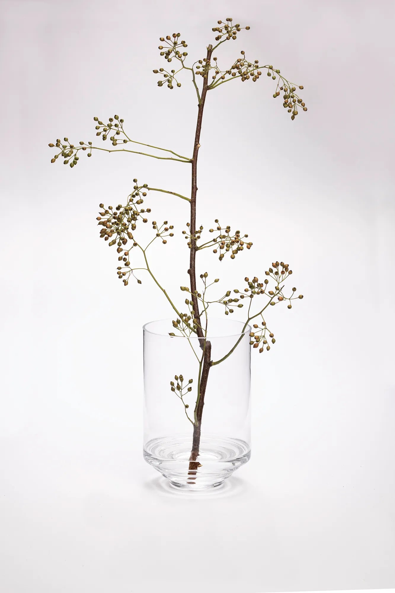Klippa klar vas 25 cm skandinavisk design | Klippa clear vase Scandinavian design | Klippa klar Vase skandinavisches Design
