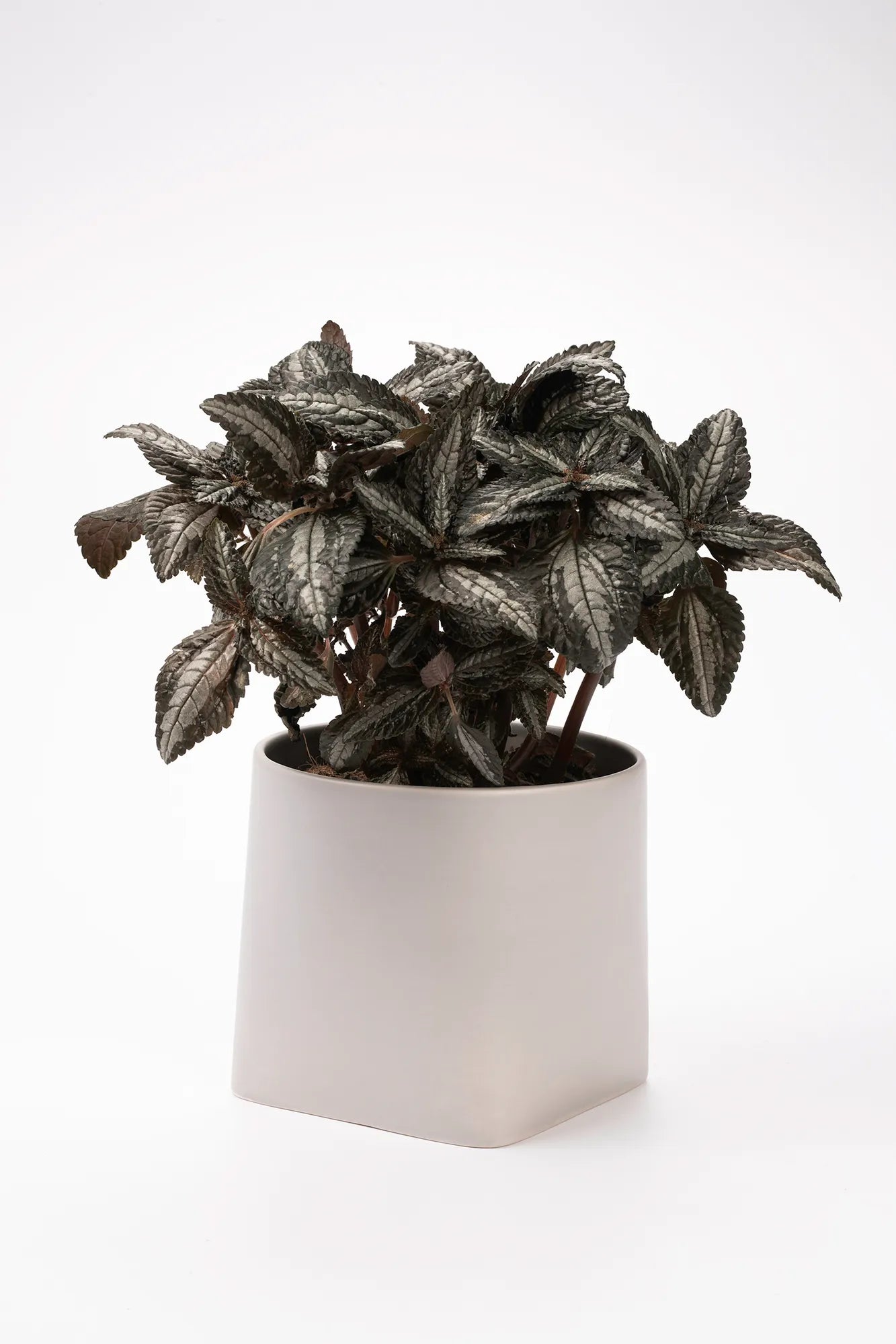 Somma grå kruka 14 cm | Somma grey pot | Somma grau Blumentopf