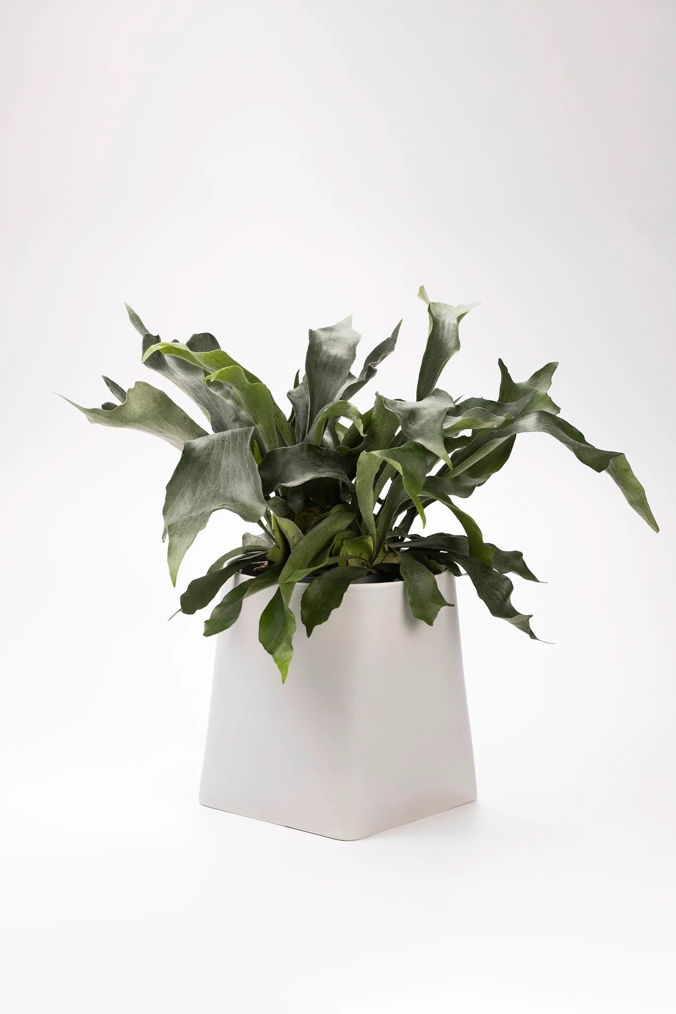 Somma grå kruka 31 cm | Somma grey pot | Somma grau Blumentopf