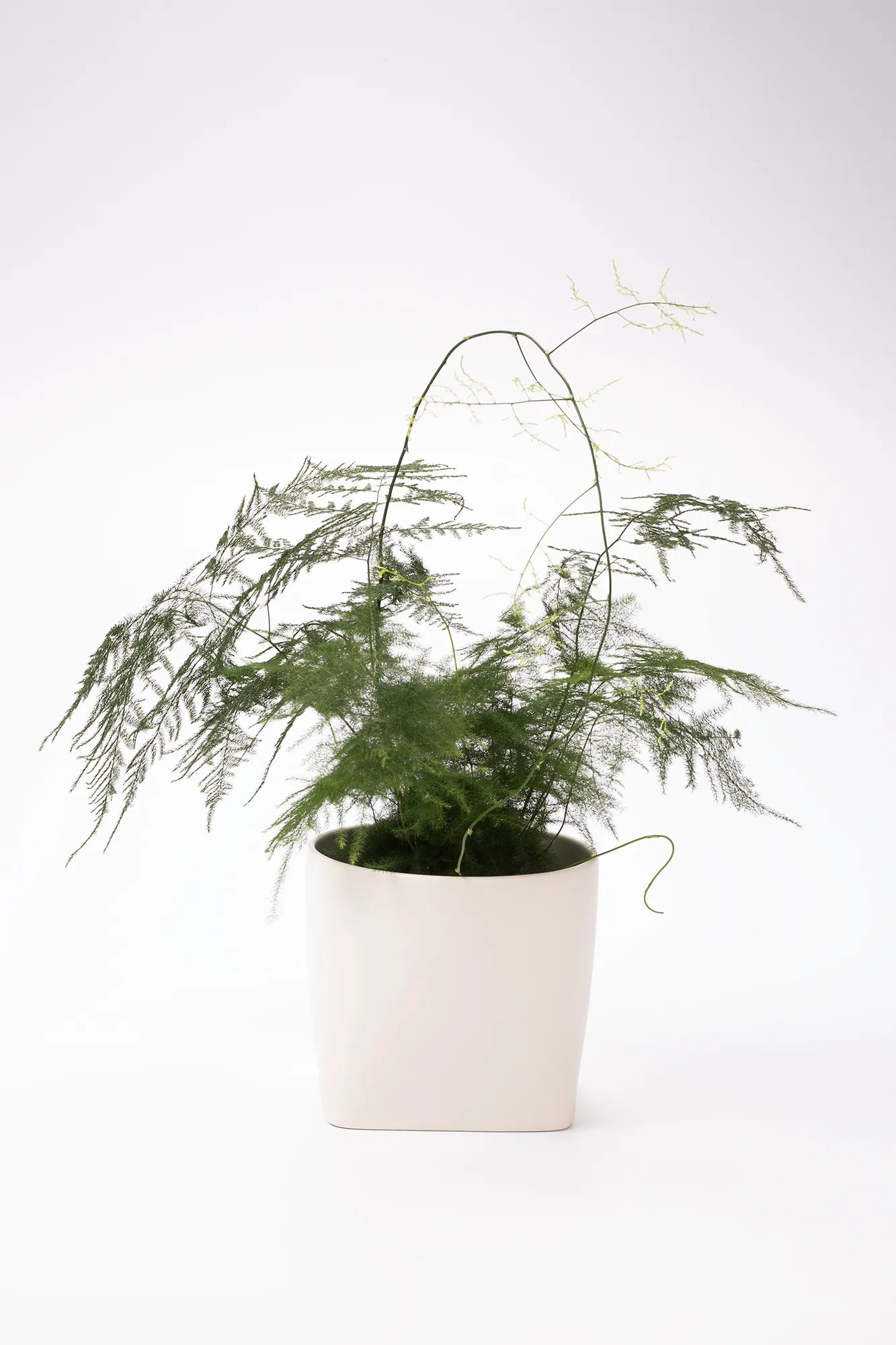 Somma vit kruka 14 cm | Somma white pot | Somma weiß Blumentopf