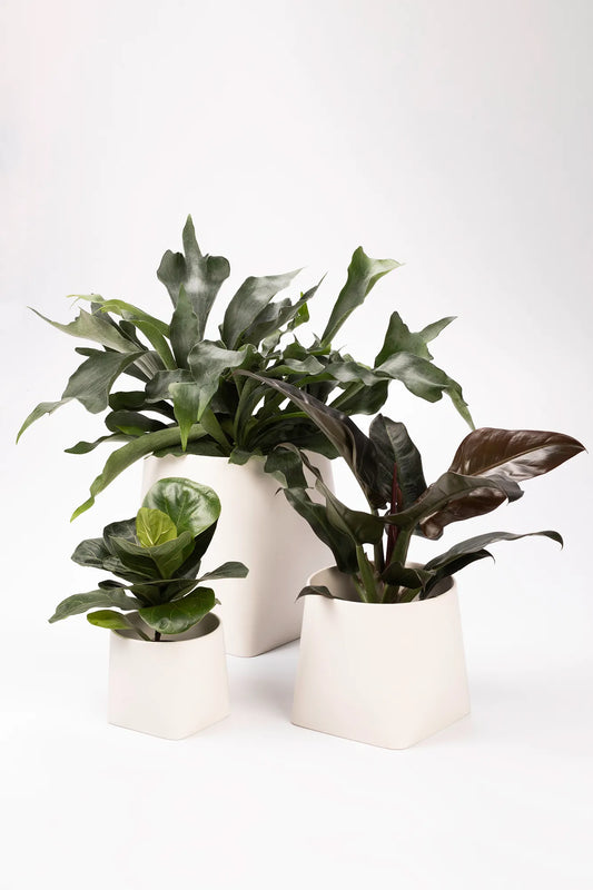 Somma vit kruka 31 cm stilren belysning | Somma white pot minimalist | Somma weiß Blumentopf minimalistische Beleuchtung