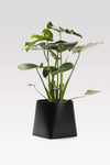 Somma svart kruka 20 cm | Somma black pot | Somma schwarz Blumentopf