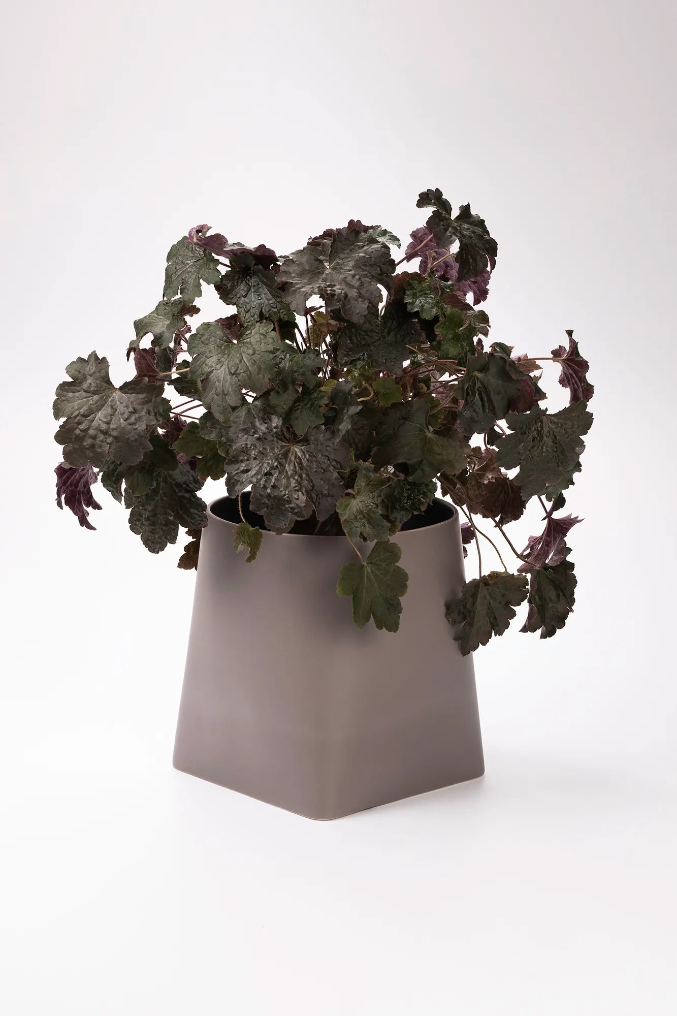Somma grå kruka 31 cm stilren belysning | Somma grey pot minimalist | Somma grau Blumentopf minimalistische Beleuchtung