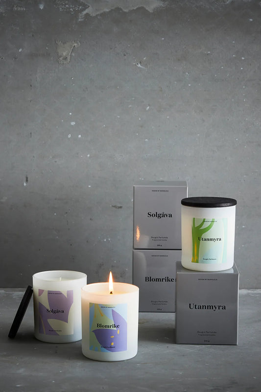 Blomrike ljusstake stilren belysning | Blomrike candle holder minimalist | Blomrike Kerzenhalter minimalistische Beleuchtung