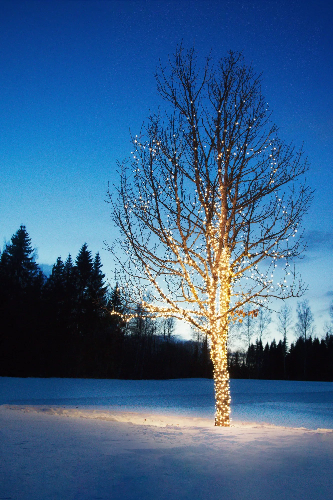 Chrissline vit utomhusbelysning utomhusbelysning | Chrissline white outdoor lighting | Chrissline weiß Außenbeleuchtung