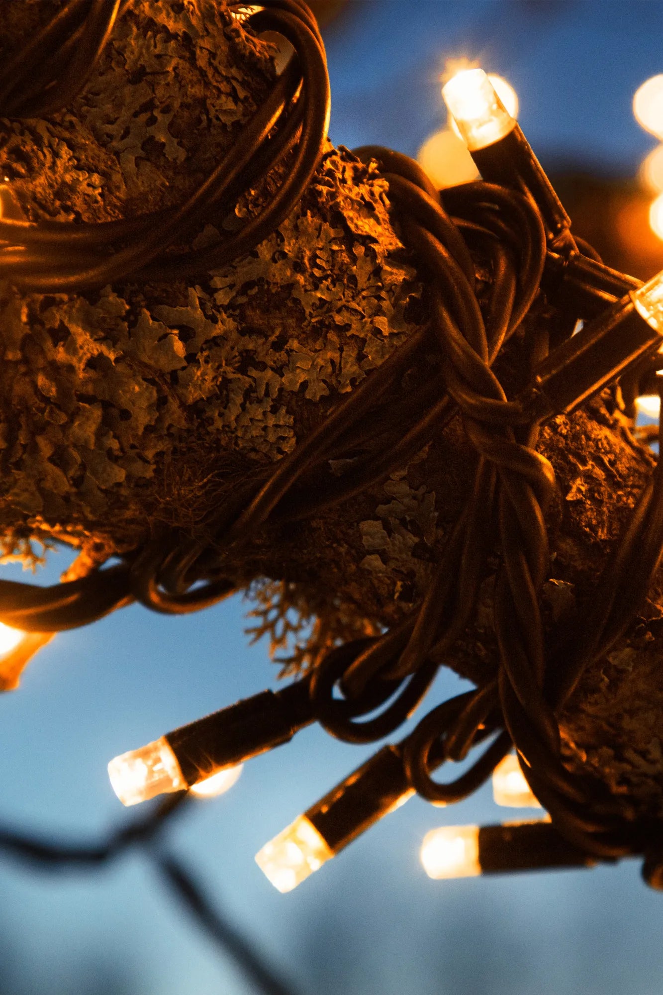 Chrissline bärnsten utomhusbelysning utomhusbelysning | Chrissline amber outdoor | Chrissline Bernstein Außenbeleuchtung