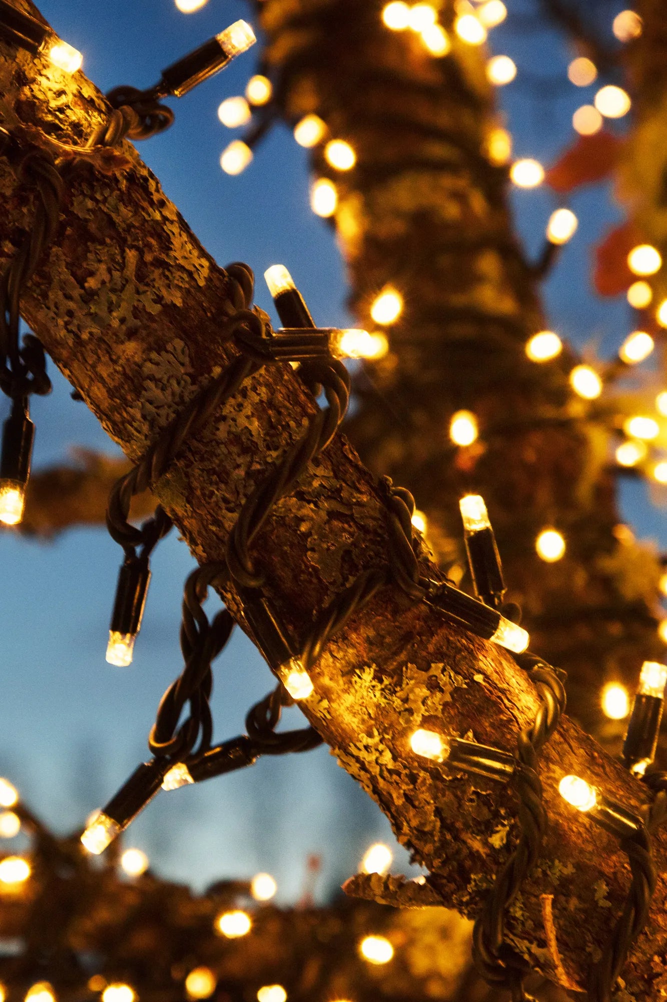 Chrissline utomhusbelysning utomhusbelysning stilren belysning | Chrissline outdoor lighting minimalist lighting | Chrissline