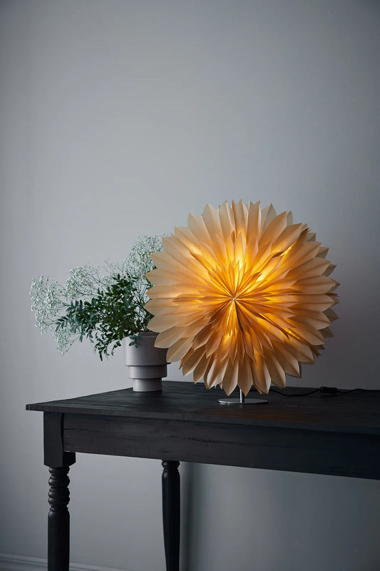 Solina Bordsstjärna Nougat 60 cm