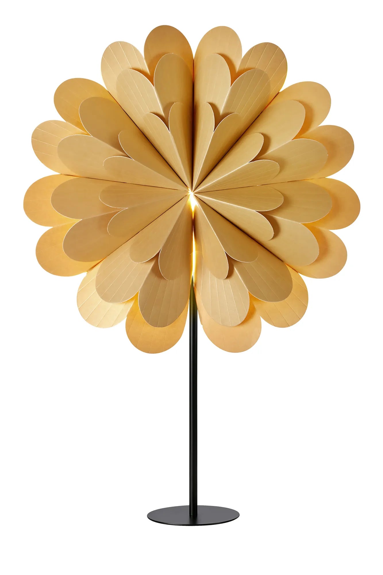 Maravilla guld julstjärna 705950 | Maravilla gold Christmas star light | Maravilla Gold Weihnachtsstern Beleuchtung 705950