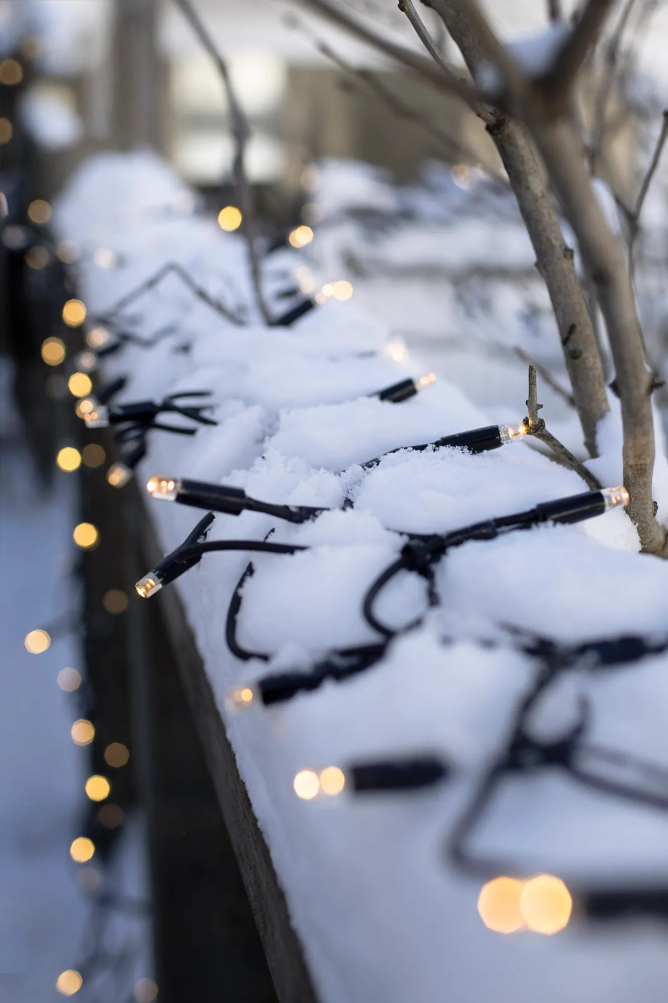 Chrissline utomhusbelysning utomhusbelysning | Chrissline outdoor lighting 705991 | Chrissline Außenbeleuchtung 705991