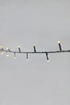 706325_suno_150