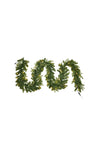 Lucent String Light Fir Greenery Starter Kit