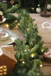 Lucent String Light Fir Greenery Starter Kit