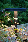Garden 24 Downlight czarny 5W