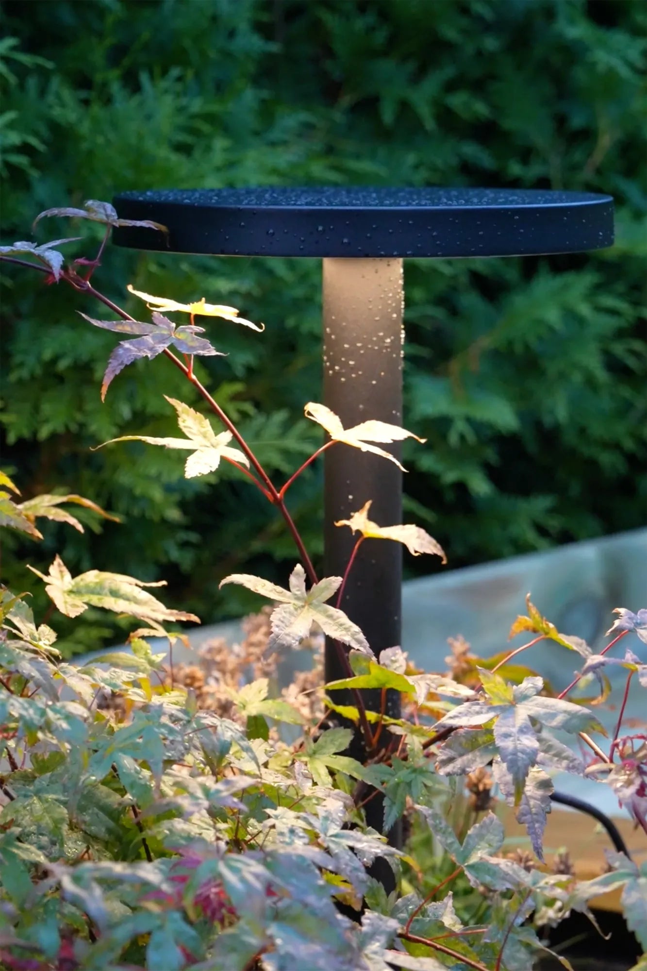 Garden 24 Downlight czarny 5W